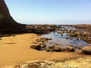 Palos Verdes, 卡利, 景观, 荒野, 风景, 自然, 野生, 土地