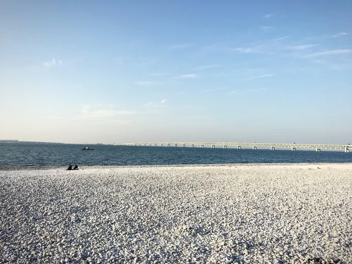 大阪，关西国际机场，大桥，海湾，水边，水，海，天空