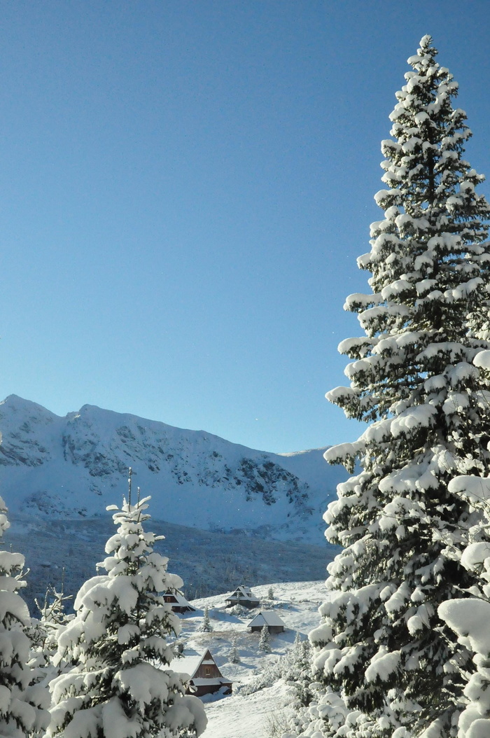 Tatra, 山, 雪, 冰冻的, 森林, tatra, 山, 冰, 冬天