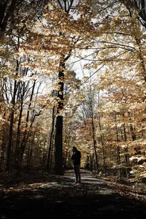 站在森林里的人