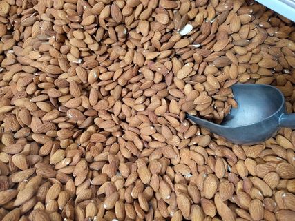 杏仁、天然、h、健康、营养、坚果、素食、蛋白质