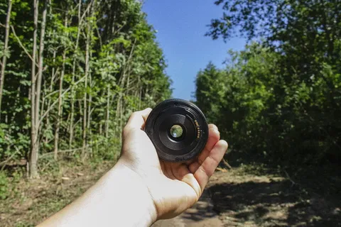在树林中拿着摄像机镜头的人 在树林中拿着摄像机镜头的人