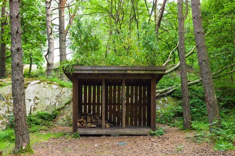 瑞典、哥德堡、森林、小屋、哥德堡、绿色、木材、树木