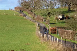 步行, 阳光, 个人, 景观, 离, 车道, 放松, 周日漫步