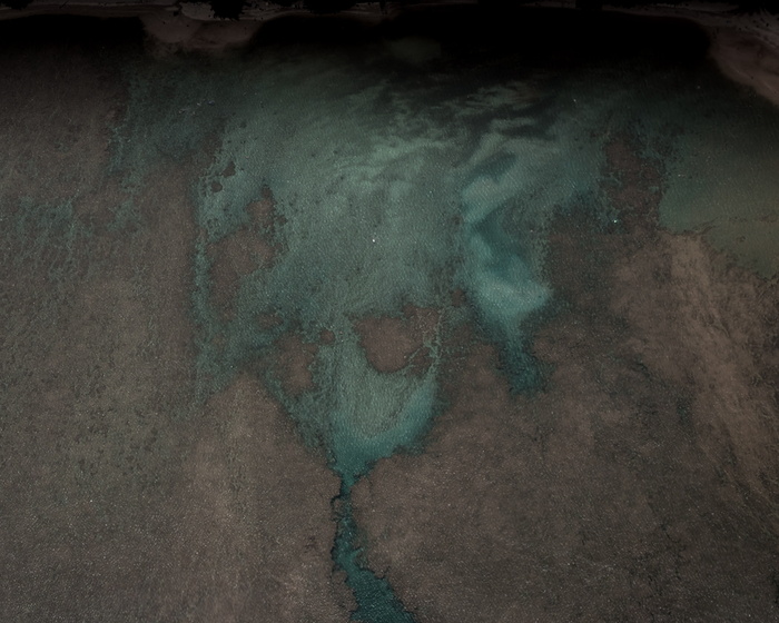 绿色和白色花卉纺织品