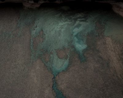 绿色和白色花卉纺织品