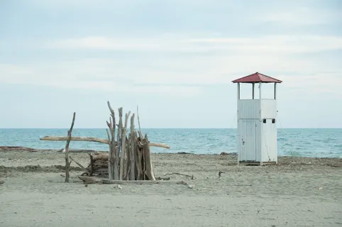 海洋、海滩、树干、监管风暴、沙子、建筑、木材、应变