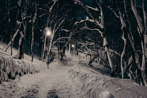 冬季，冬季公园，夜晚，灯光，雪，树木，高清，壁纸