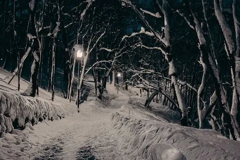 冬季，冬季公园，夜晚，灯光，雪，树木，高清，壁纸