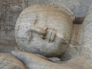 木材、斯里兰卡、岩石、爬行动物、动物、海龟、海洋生物、考古学