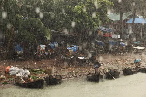 雨，水，真人，树，一群人，自然，天，职业