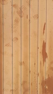 jordan、sweimeh、hilton dead sea resort and spa、墙纸、木地板、木质材料、棕色、木质