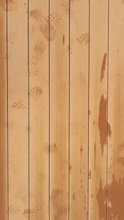 jordan、sweimeh、hilton dead sea resort and spa、墙纸、木地板、木质材料、棕色、木质