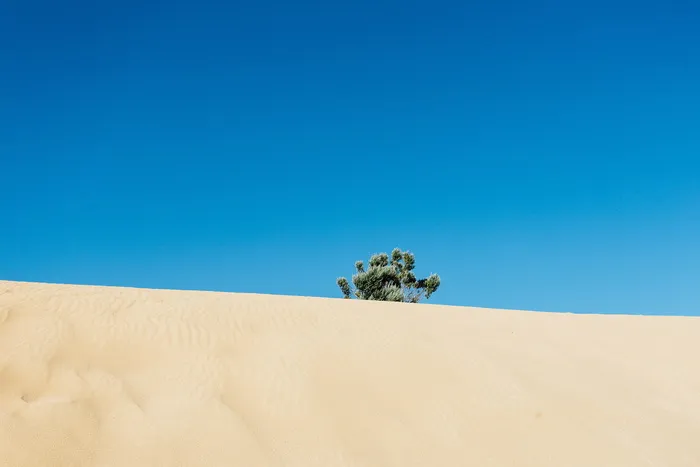 风景、自然、沙滩、阳光、冒险、孤独、干旱、贫瘠