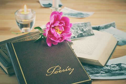 精选、对焦摄影、粉色、牡丹花、上衣、书籍、诗集、皮革