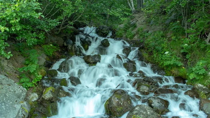 水、植物、自然之美、森林、树木、运动、土地、长期暴露
