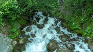 水、植物、自然之美、森林、树木、运动、土地、长期暴露