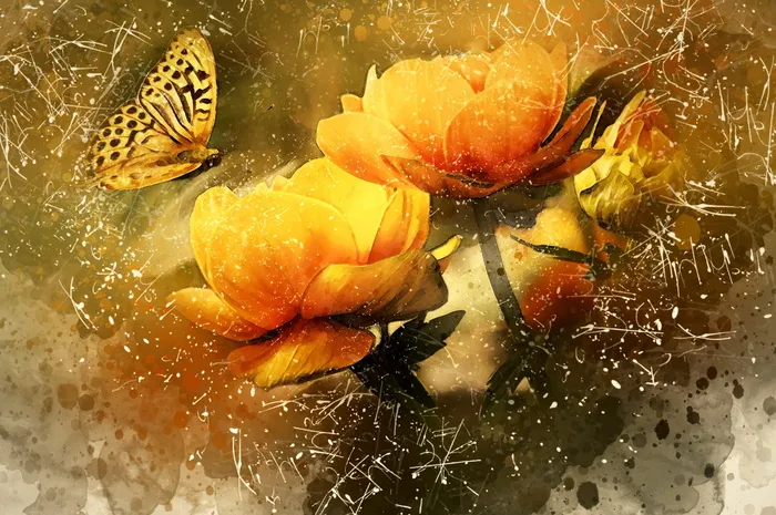 二, 黄色, 花瓣, 蝴蝶, 鲜花, 自然, 昆虫, 夏季