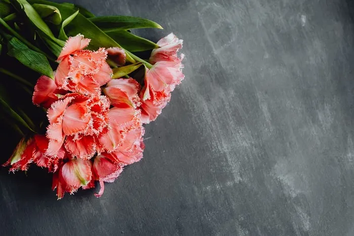 灰色背景上的彩色花朵，带有复制空间