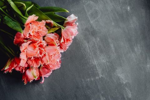 灰色背景上的彩色花朵，带有复制空间