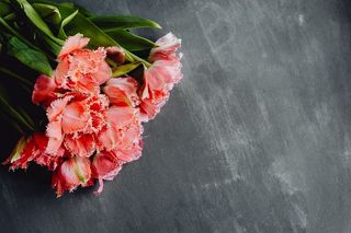 灰色背景上的彩色花朵，带有复制空间