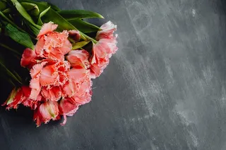 灰色背景上的彩色花朵，带有复制空间