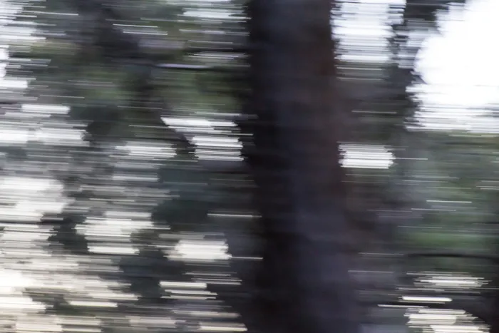 澳大利亚，圣艾夫斯，加里加尔国家公园，朱利安努照片，模糊运动，运动，无人，全画幅