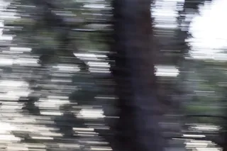 澳大利亚，圣艾夫斯，加里加尔国家公园，朱利安努照片，模糊运动，运动，无人，全画幅