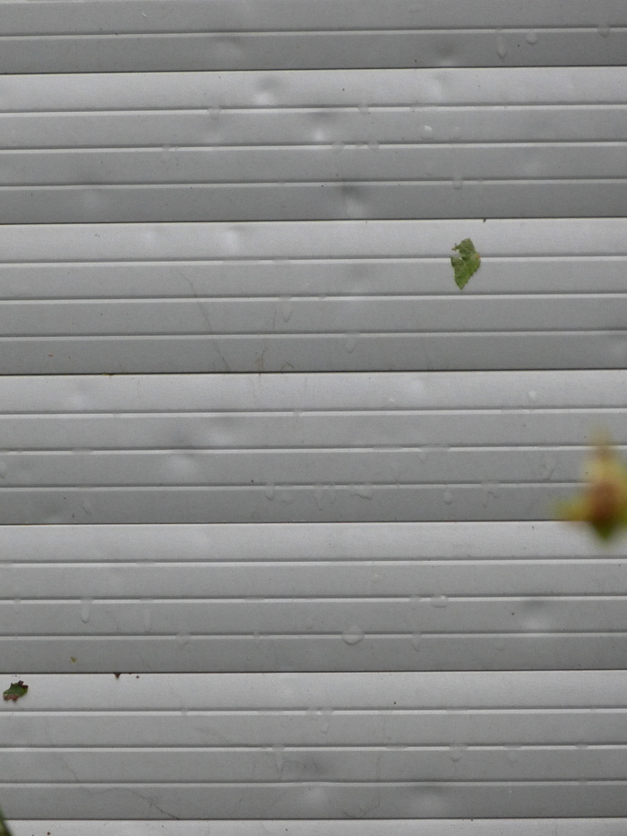 卷帘，凹痕，冰雹损坏，损坏，损坏，冰雹，无人，图案