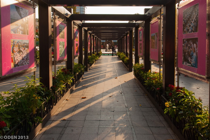 越南胡志明市西贡东奎街乐来，农历新年，美丽