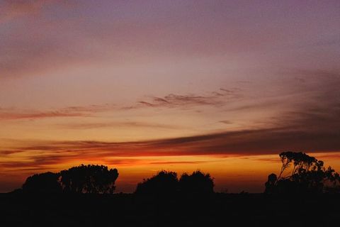 日落，树，自然，特鲁希略，云，树，天空，夜晚