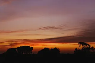 日落，树，自然，特鲁希略，云，树，天空，夜晚