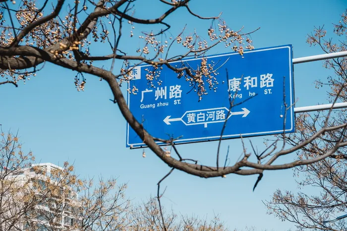 白天树旁的蓝白标识