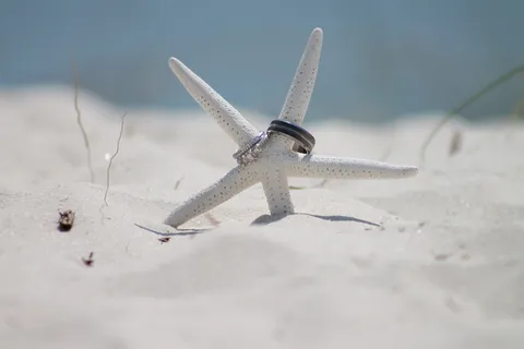 结婚戒指,婚姻,海滩,象征,誓言,沙子,海洋,没有人 结婚戒指,婚姻,海滩,象征,誓言,沙子,海洋,没有人
