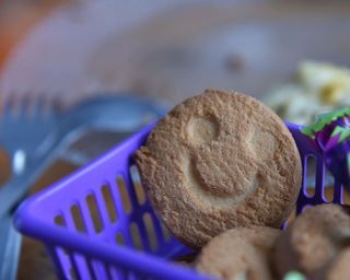 俄罗斯，贝加尔湖，小吃，晚餐，食物，饮料，可爱