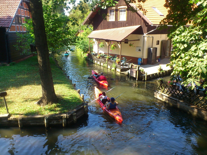 Spreewald，Spree River，德国，Spree River，独木舟之旅，水，户外，白天