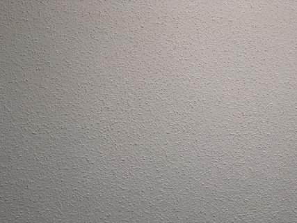 白色油漆墙，纹理，地毯，混凝土，加拿大，卡尔加里，783 walden dr se，灰色