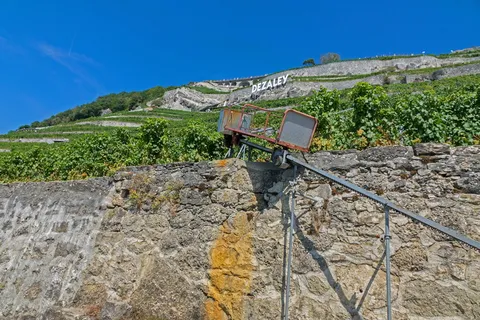 葡萄藤,葡萄园,葡萄酒,葡萄酒红,葡萄藤,日内瓦湖,拉沃,自然 葡萄藤,葡萄园,葡萄酒,葡萄酒红,葡萄藤,日内瓦湖,拉沃,自然