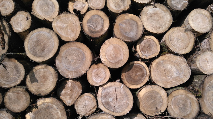 木柴, 背景, 股权, 树干, 堆栈, 木材, 孔, 木材