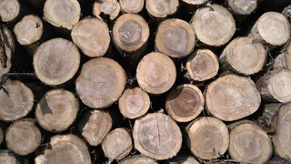 木柴, 背景, 股权, 树干, 堆栈, 木材, 孔, 木材