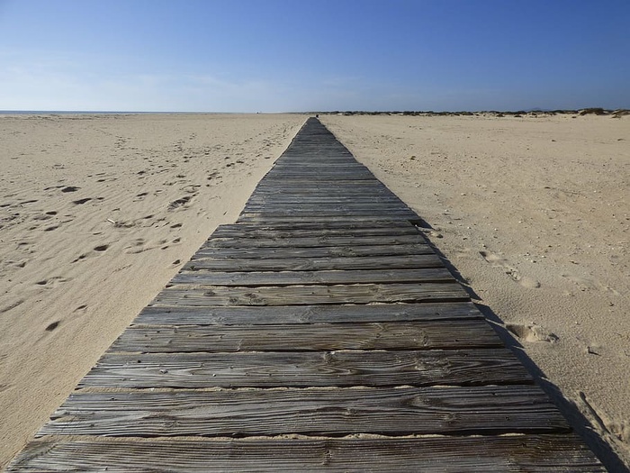 棕色，木制，栈道，海滩，沙滩，大海，散步，木头