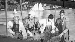 壁画、绘画、渔民、修补、渔网、纽芬兰、人群、女性