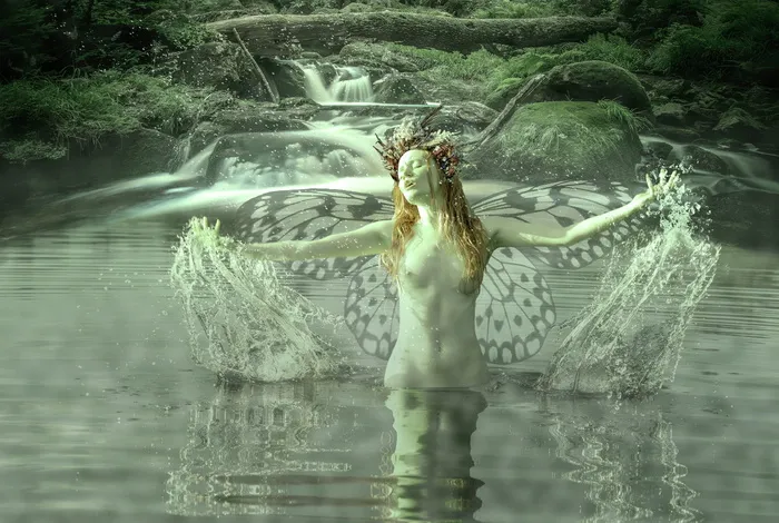 仙女，幻想，美女，巫术，森林，魔法森林，生物，神话