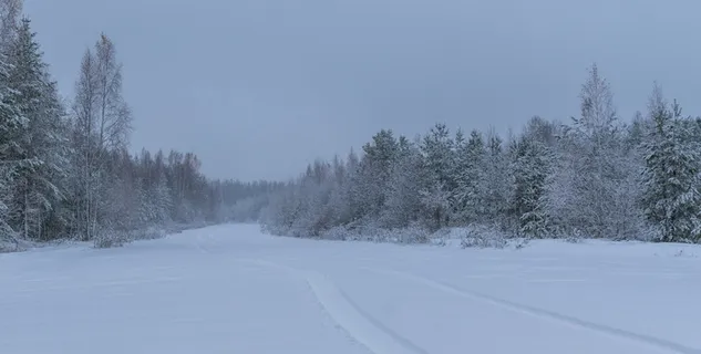 雪地景观摄影 雪地景观摄影