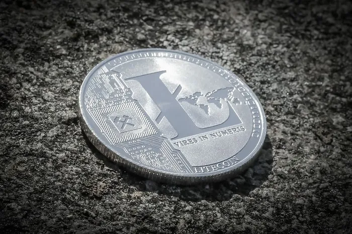 莱特币，货币，加密货币，加密，货币，金融，货币，没有人
