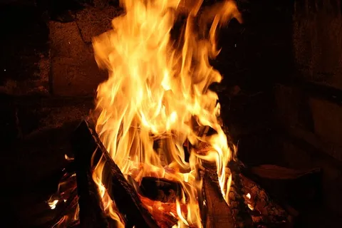 火，烧烤，木材，火焰，燃烧，火-自然现象，热-温度，原木