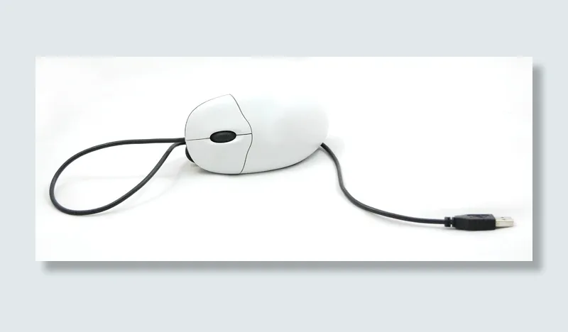 白色背景上的黑白线电脑鼠标