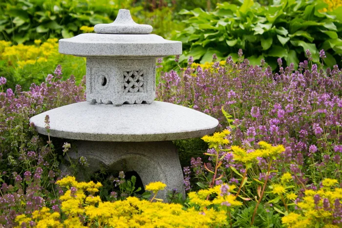建筑、设计、花卉、花园、净空、石头、植物、花卉