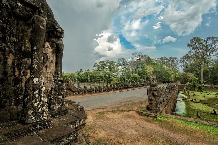 考试，丹，比特币，树，天空，植物，云-天空，自然
