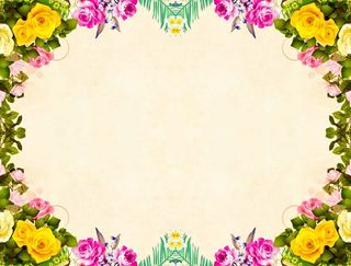 五颜六色的花框，以浅色为背景